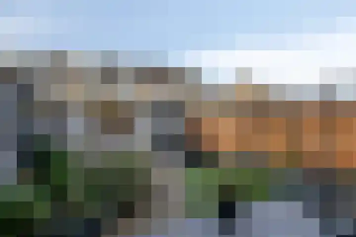 Jan de Oudestraat 14 Eindhoven thumbnail 29