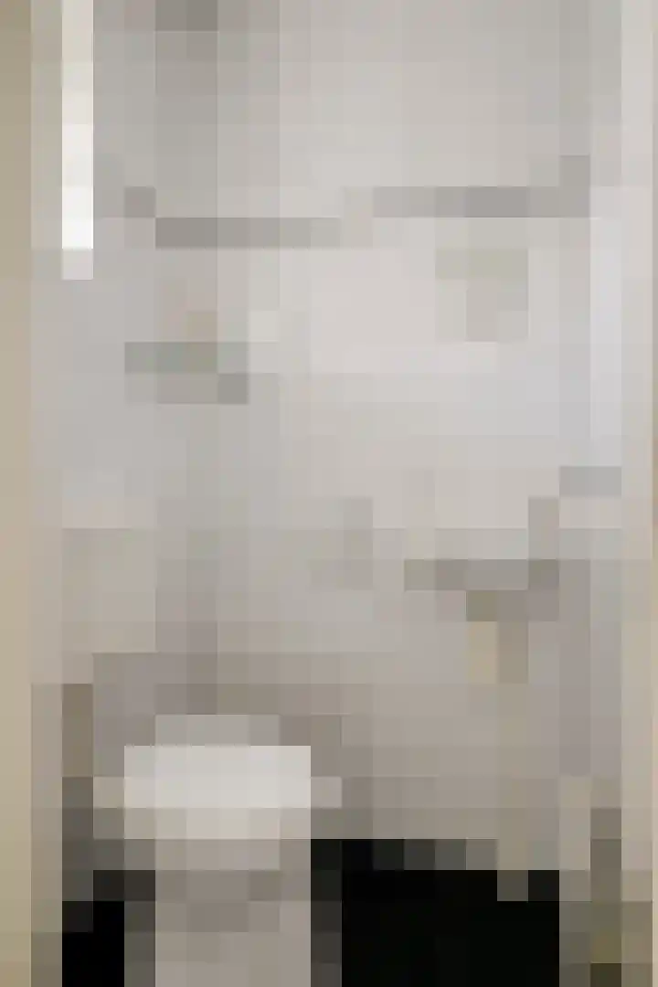 Jan de Oudestraat 14 Eindhoven thumbnail 6