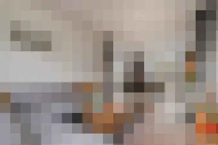 Jan de Oudestraat 14 Eindhoven thumbnail 9