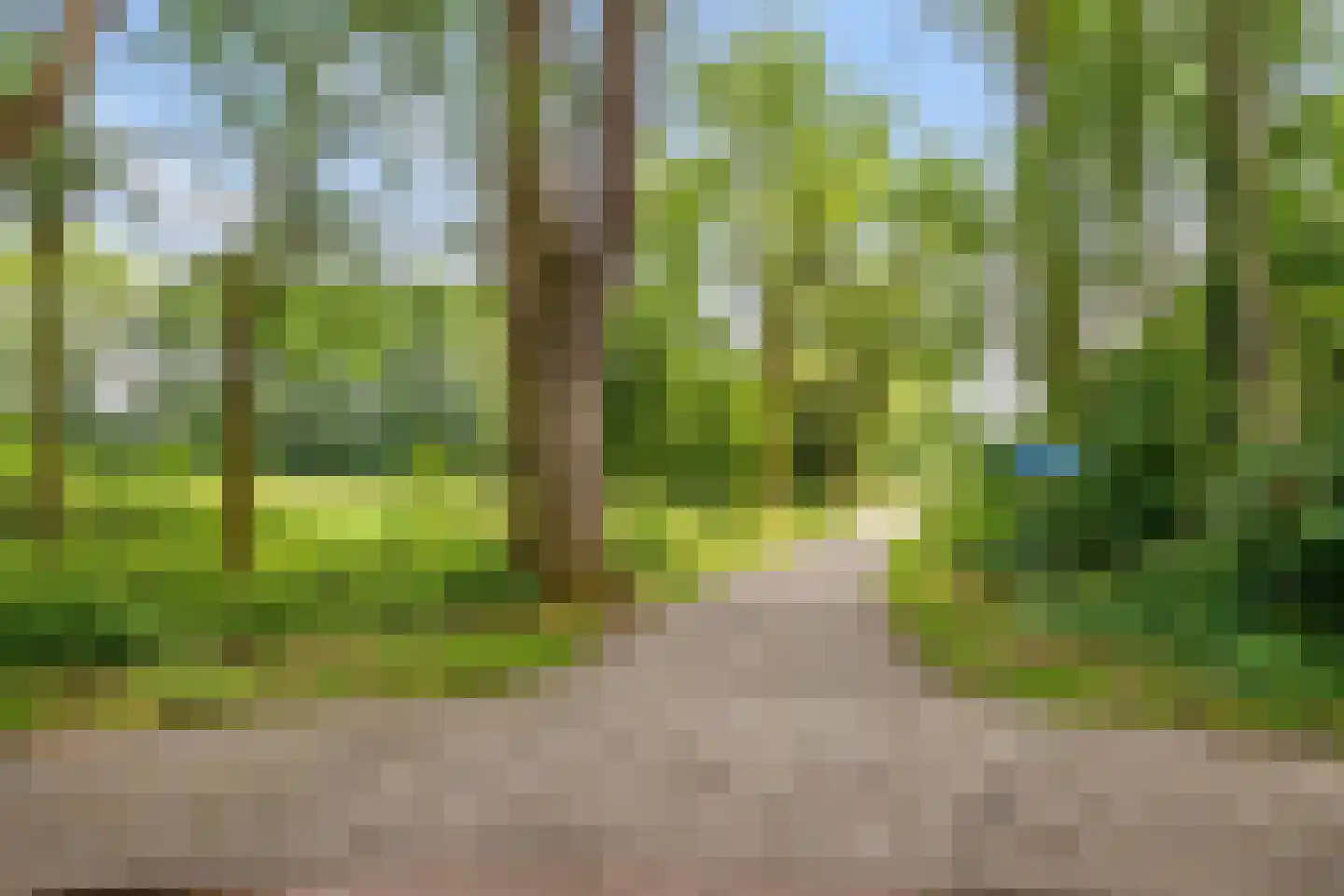 Jan de Oudeweg 244 Delft thumbnail 28