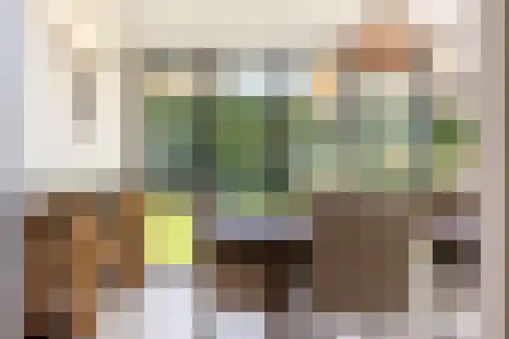 Jan de Preestraat 5 Steenbergen thumbnail 17