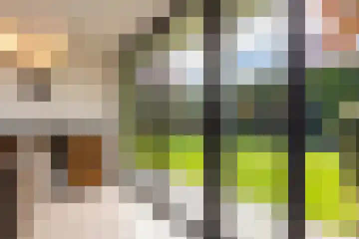 Jan de Preestraat 5 Steenbergen thumbnail 18