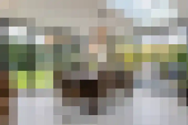Jan de Preestraat 5 Steenbergen thumbnail 19