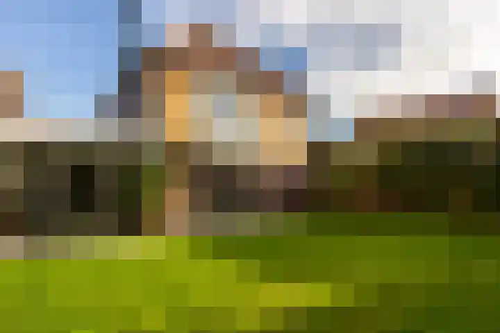 Jan de Preestraat 5 Steenbergen thumbnail 29