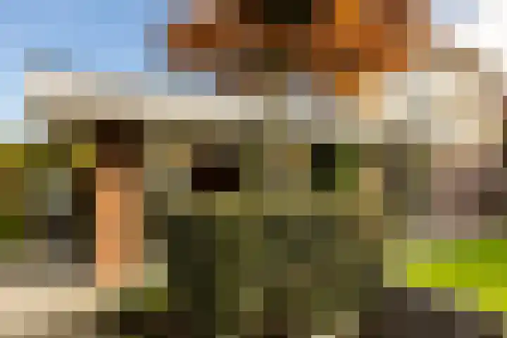 Jan de Preestraat 5 Steenbergen thumbnail 32