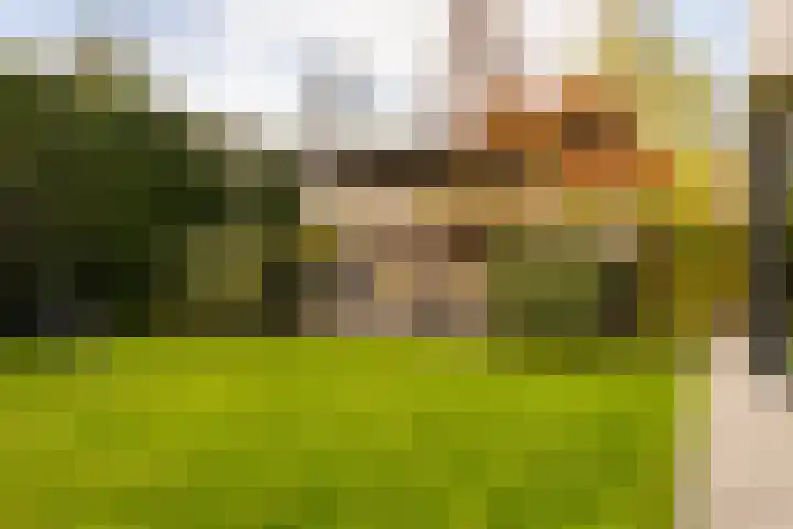 Jan de Preestraat 5 Steenbergen thumbnail 33
