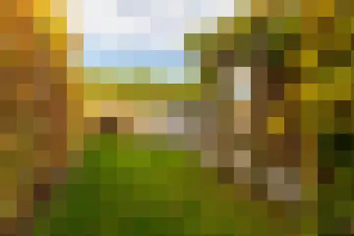 Jan de Preestraat 5 Steenbergen thumbnail 36