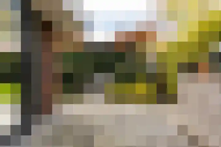 Jan de Preestraat 5 Steenbergen thumbnail 38