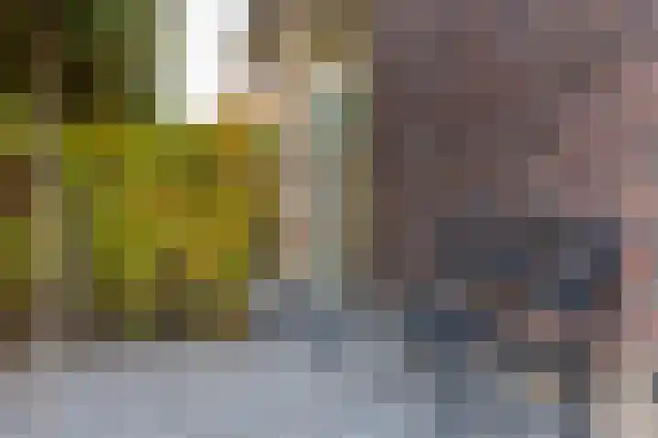Jan de Preestraat 5 Steenbergen thumbnail 39