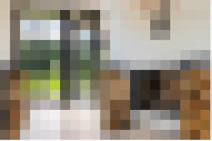 Jan de Preestraat 5 Steenbergen thumbnail 5