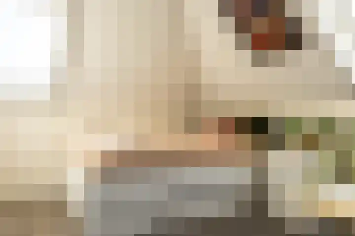 Jan de Preestraat 5 Steenbergen thumbnail 51