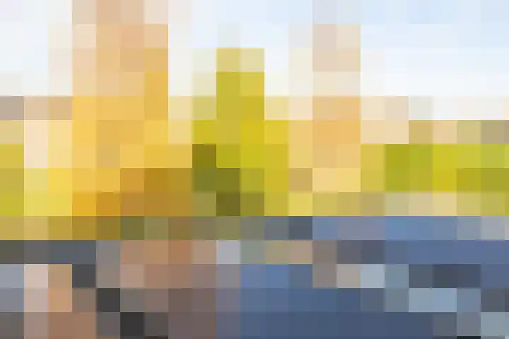 Jan de Preestraat 5 Steenbergen thumbnail 55
