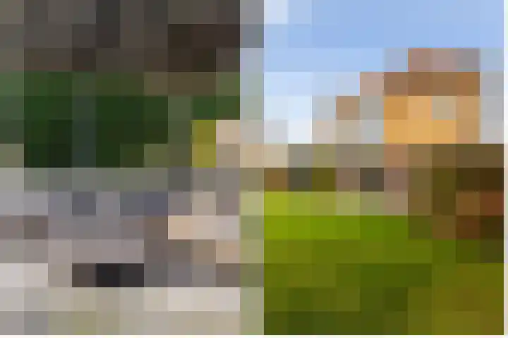 Jan de Preestraat 5 Steenbergen thumbnail 7