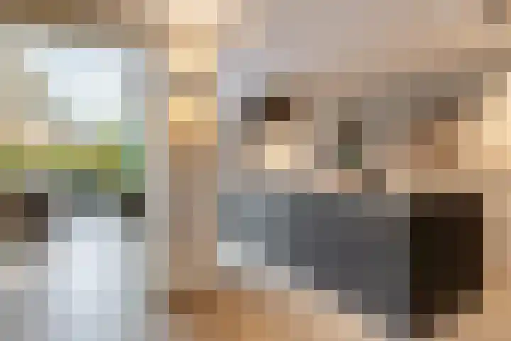 Jan de Preestraat 5 Steenbergen thumbnail 8