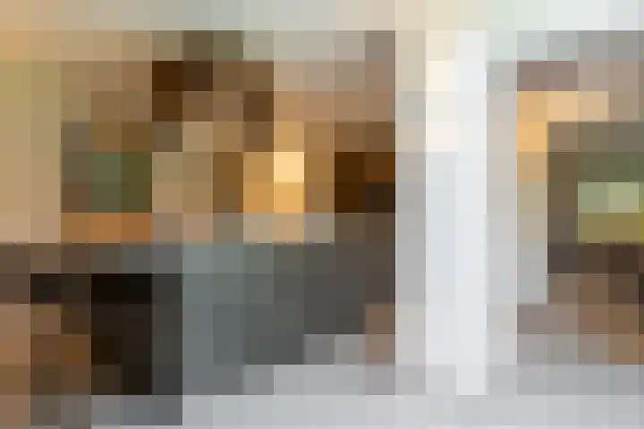 Jan de Preestraat 5 Steenbergen thumbnail 9