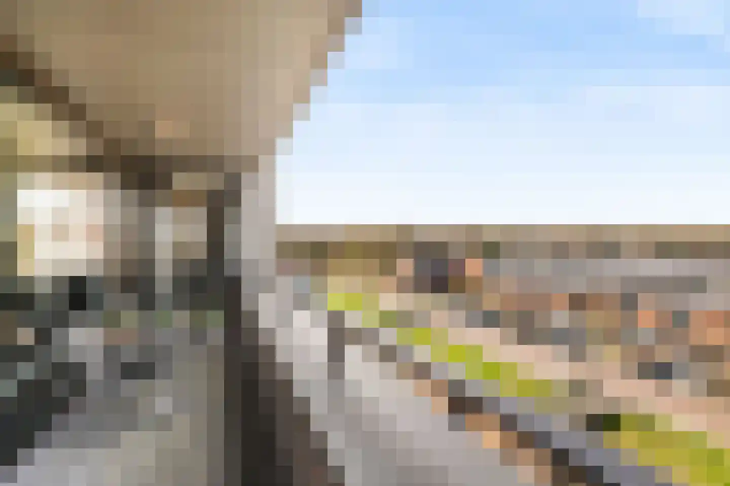Jan de Ridderstraat 30 Noordwijk thumbnail 17