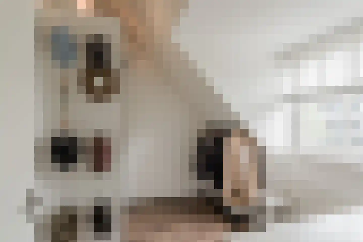 Jan de Ridderstraat 45 Noordwijk thumbnail 27