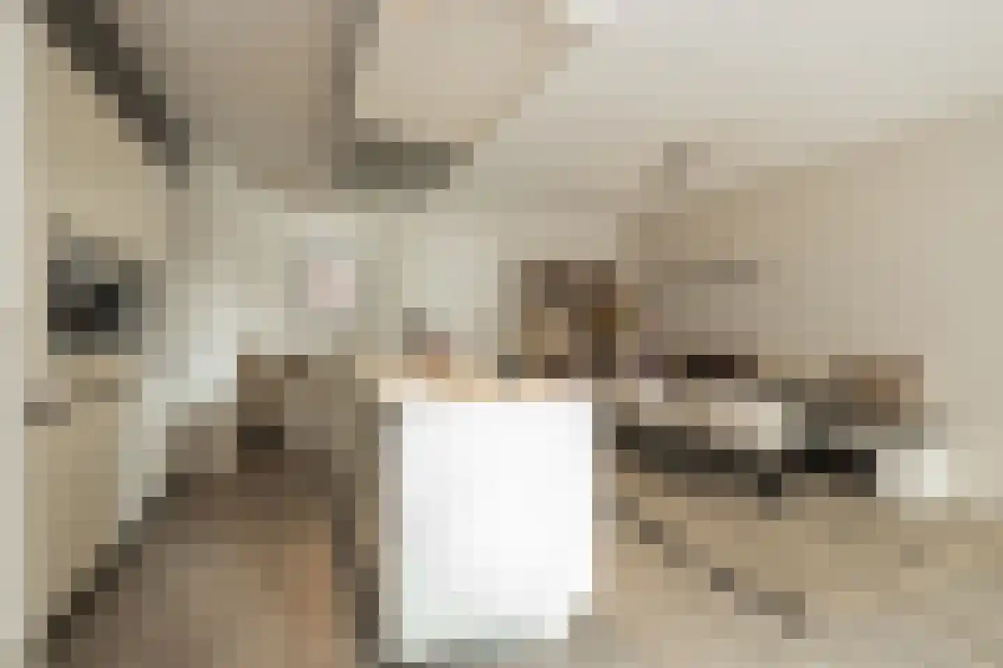 Jan de Ridderstraat 61 Noordwijk thumbnail 4