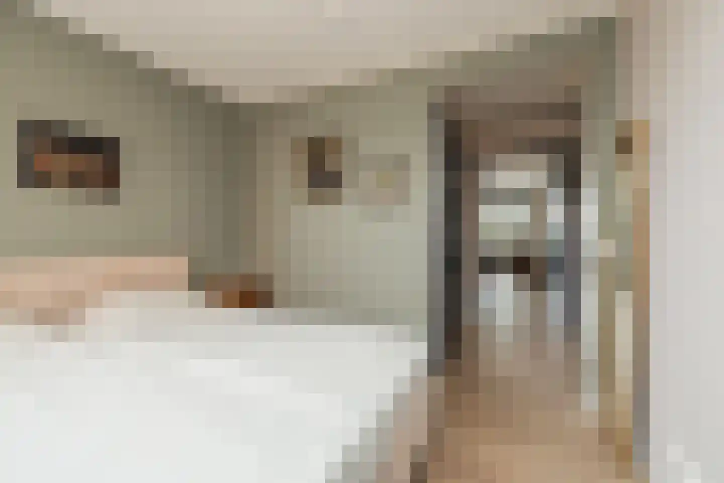 Jan de Ridderstraat 63 Noordwijk thumbnail 17