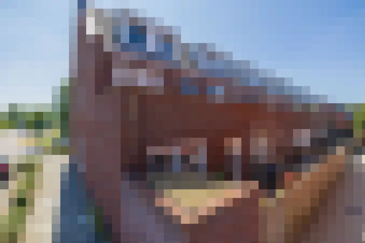 Jan de Ridderstraat 63 Noordwijk thumbnail 24
