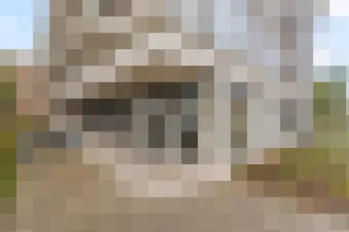 Jan de Ridderstraat 86 Noordwijk thumbnail 17