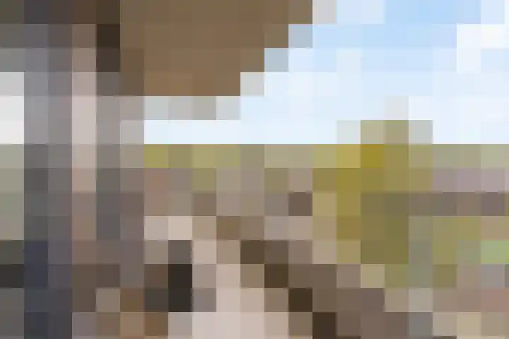 Jan de Ridderstraat 86 Noordwijk thumbnail 5