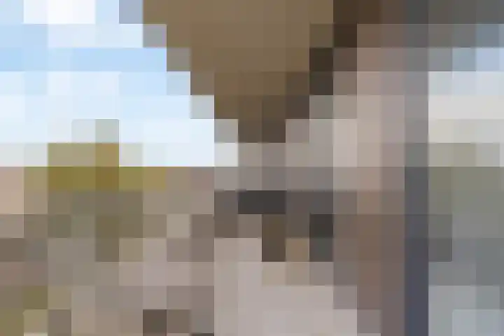 Jan de Ridderstraat 86 Noordwijk thumbnail 6