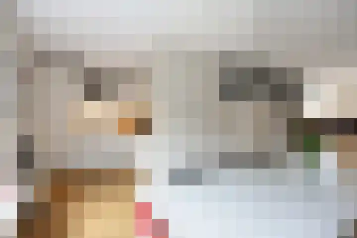 Jan de Rijklaan 24 Uithuizen thumbnail 23