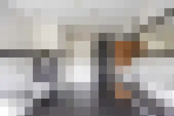 Jan de Rijklaan 24 Uithuizen thumbnail 39