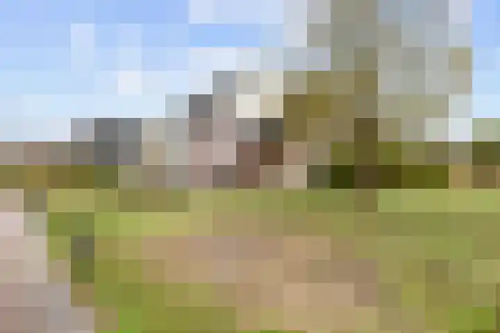 Jan de Rijklaan 24 Uithuizen thumbnail 4