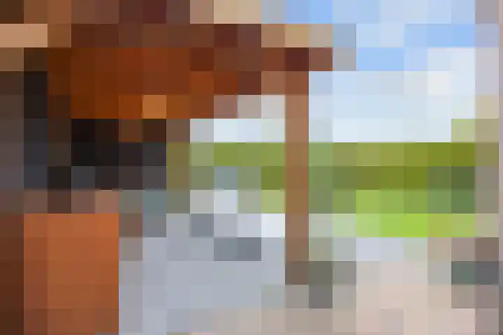 Jan de Rijklaan 24 Uithuizen thumbnail 50