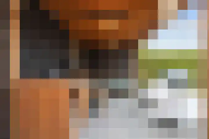 Jan de Rijklaan 24 Uithuizen thumbnail 51