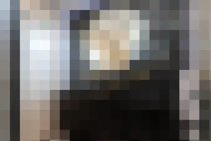 Jan de Rijpstraat 18 Best thumbnail 24