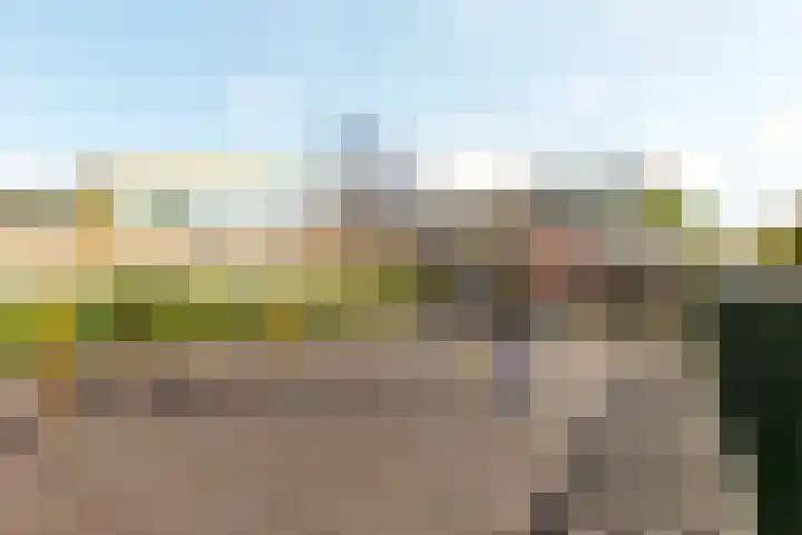 Jan de Rijpstraat 18 Best thumbnail 32