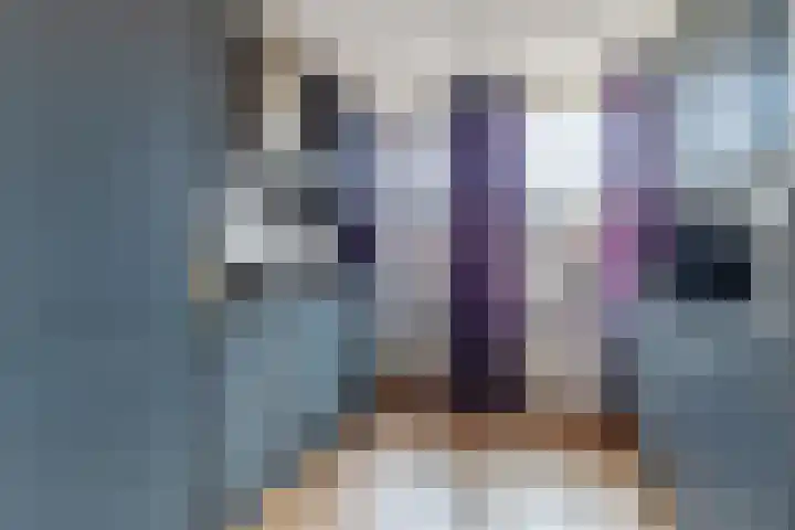 Jan de Rooijstraat 2 D Kaatsheuvel thumbnail 17