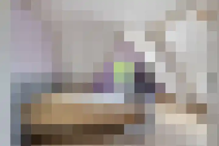 Jan de Rooijstraat 2 D Kaatsheuvel thumbnail 22