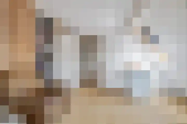 Jan de Rooijstraat 2 D Kaatsheuvel thumbnail 25