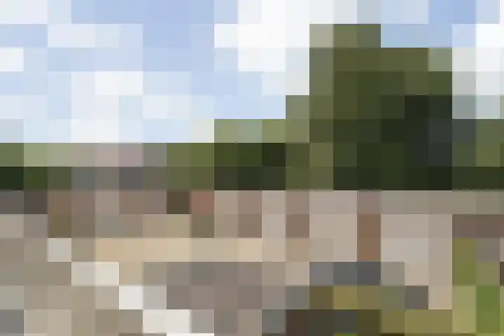 Jan de Rooijstraat 2 D Kaatsheuvel thumbnail 32