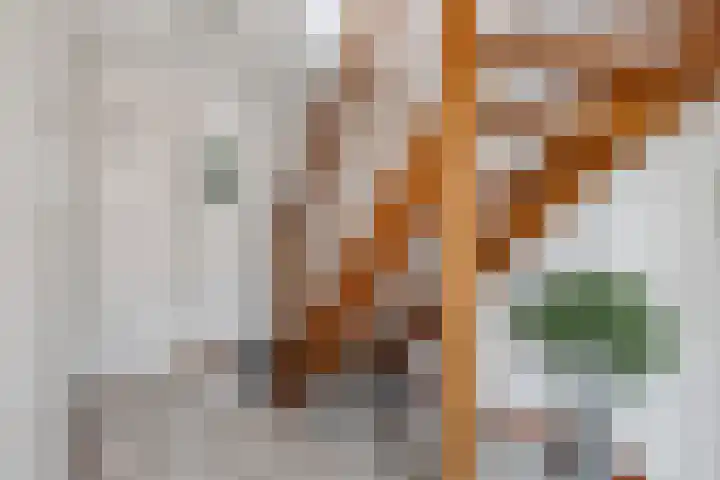 Jan de Rooijstraat 2 D Kaatsheuvel thumbnail 5