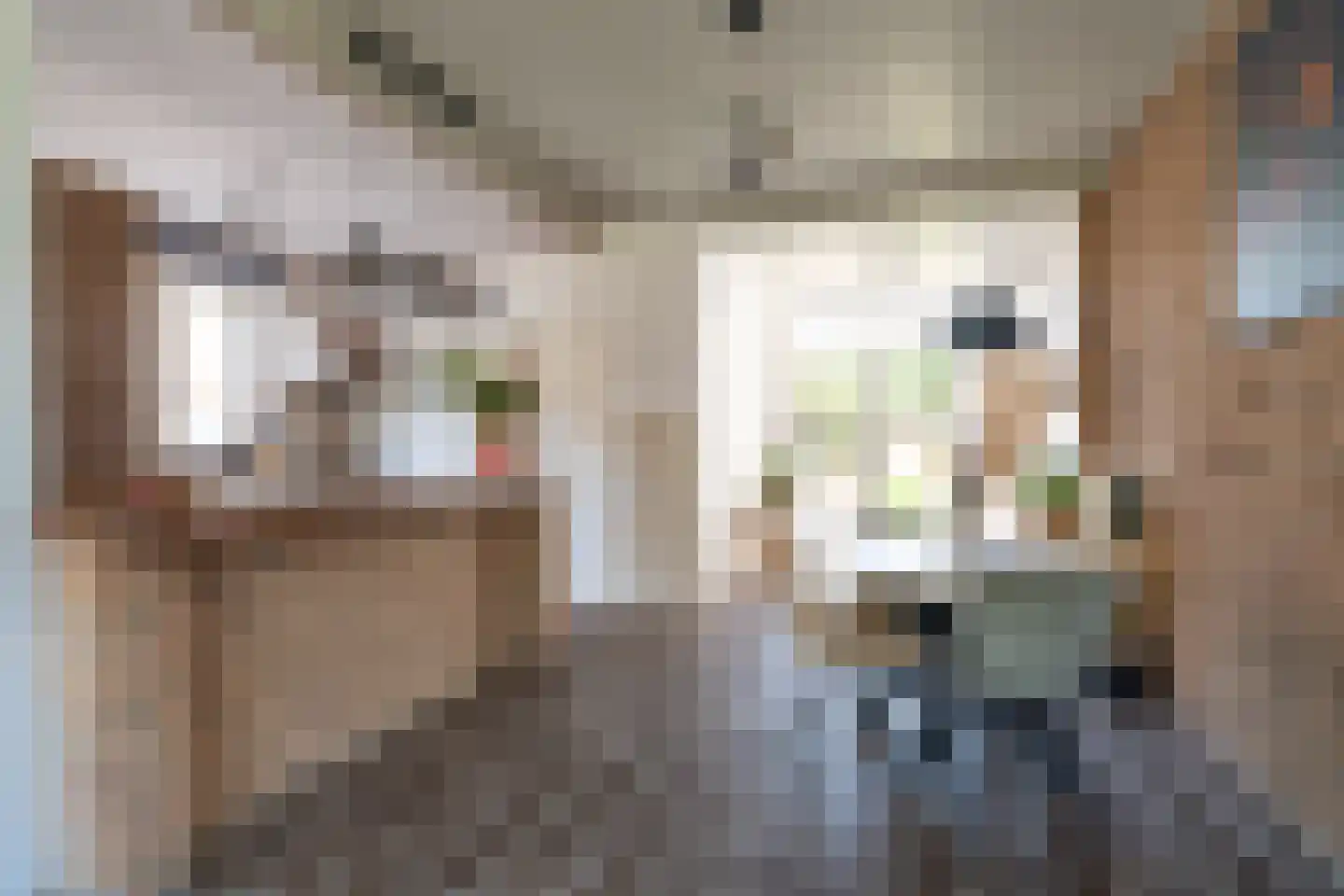 Jan de Rooijstraat 25 Sprang-Capelle thumbnail 10