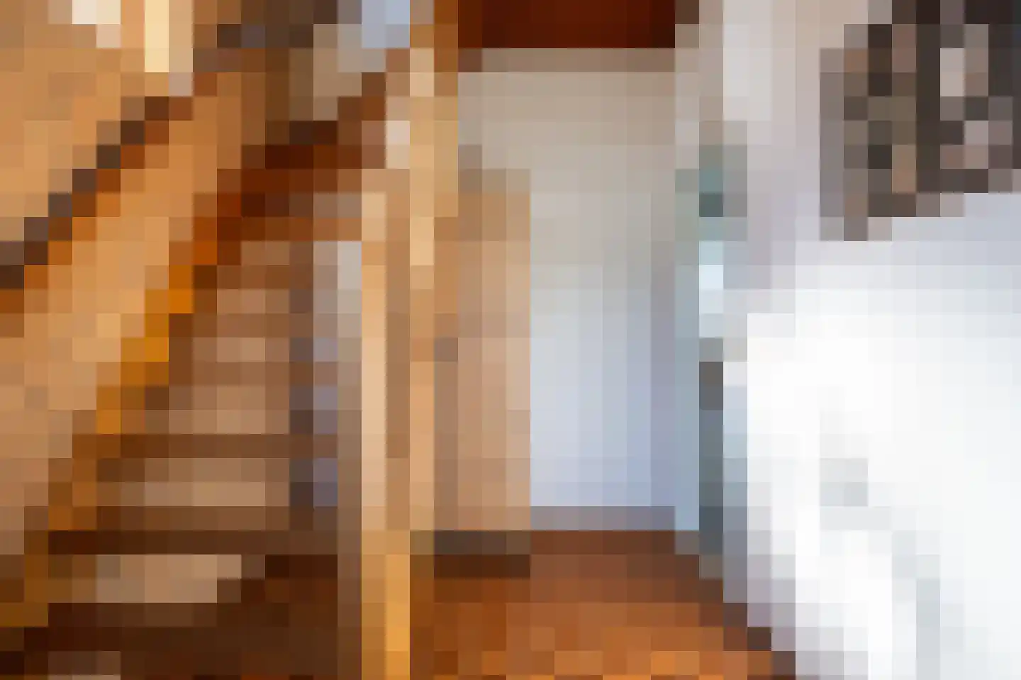Jan de Rooijstraat 25 Sprang-Capelle thumbnail 18