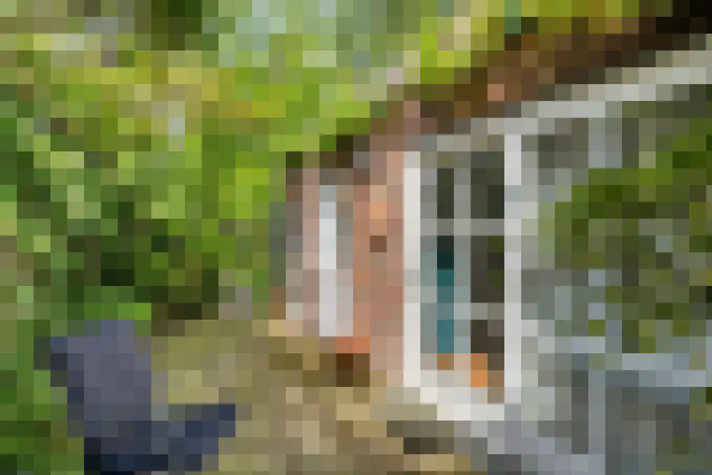 Jan de Rooijstraat 28 Kaatsheuvel thumbnail 35