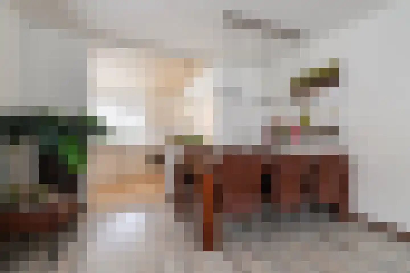Jan de Rooystraat 10 Waalwijk thumbnail 10