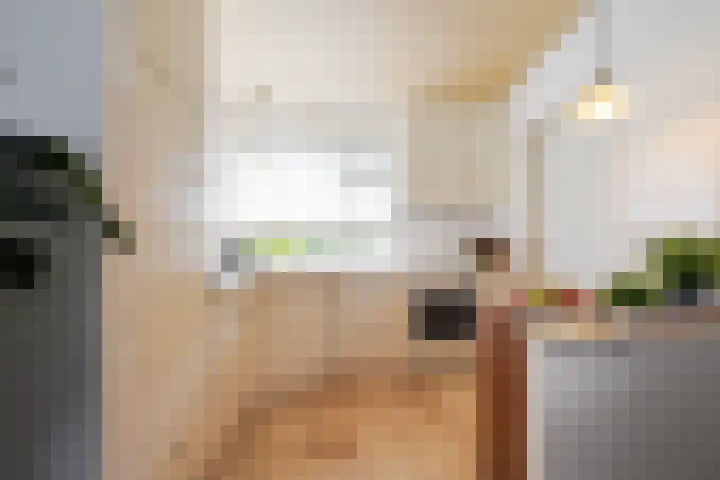 Jan de Rooystraat 10 Waalwijk thumbnail 11