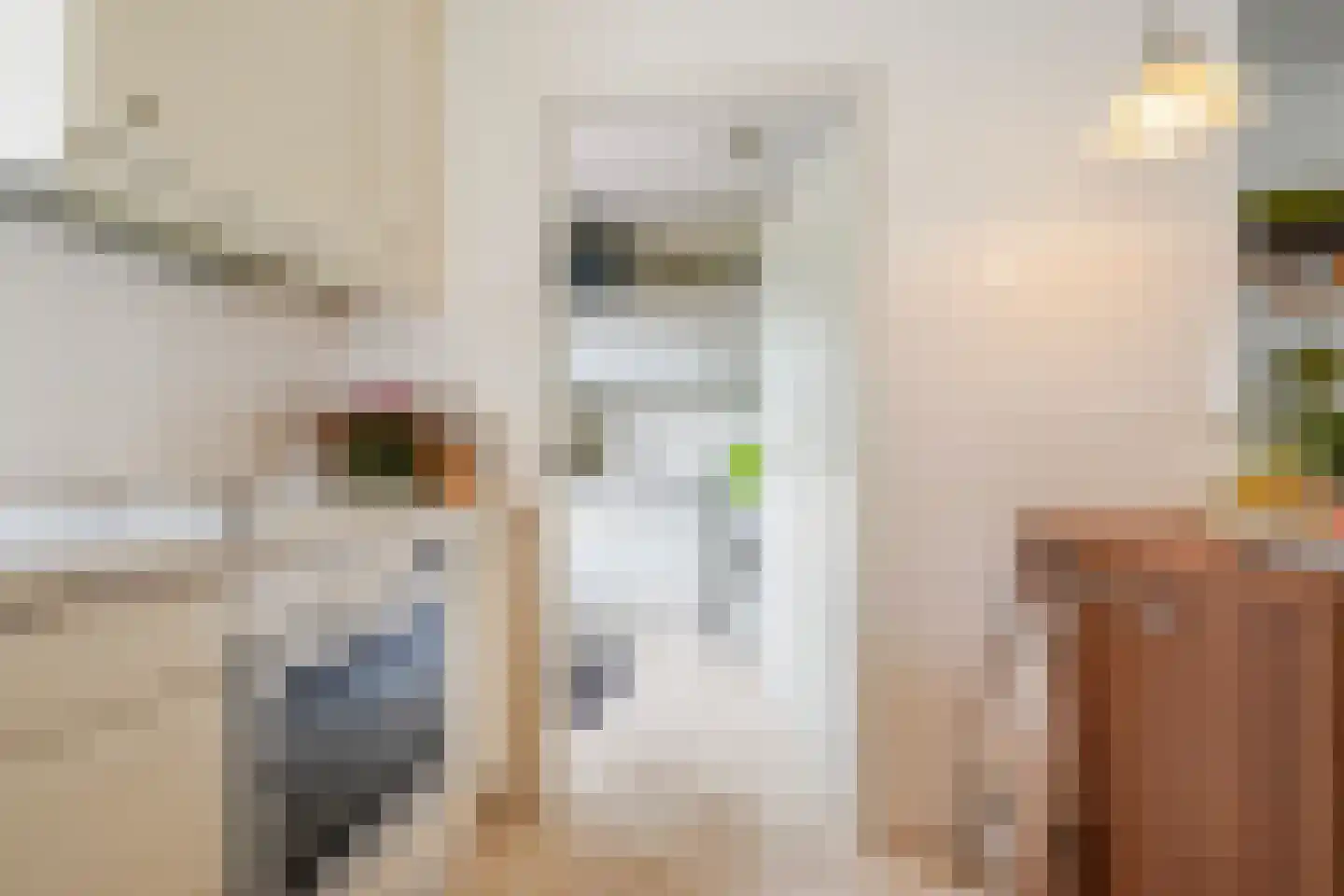 Jan de Rooystraat 10 Waalwijk thumbnail 13