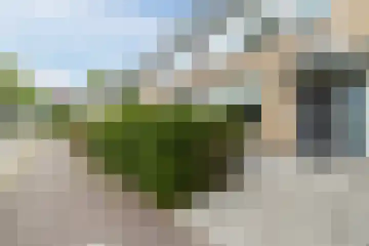 Jan de Rooystraat 24 Soest thumbnail 41