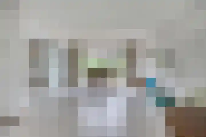 Jan de Vrieslaan 3 Nuenen thumbnail 10