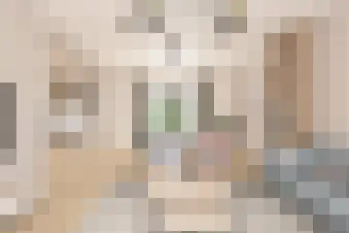 Jan de Vrieslaan 3 Nuenen thumbnail 11