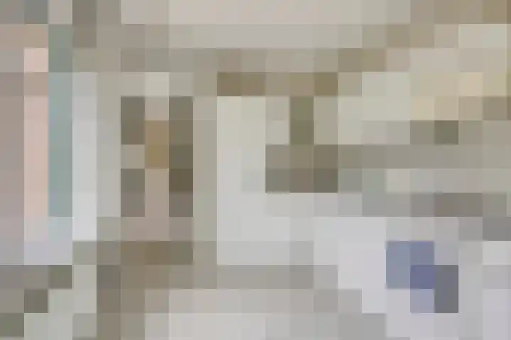 Jan de Vrieslaan 3 Nuenen thumbnail 12