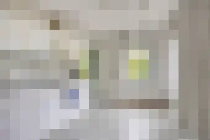 Jan de Vrieslaan 3 Nuenen thumbnail 13